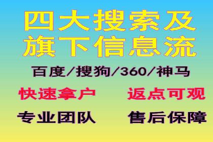 案例分享：SEM推广助力电商快速崛起